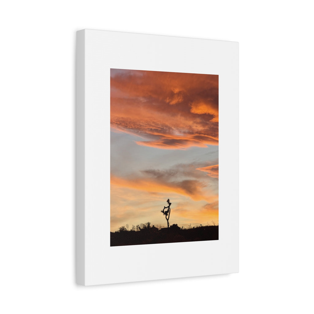 Lone Joshua Tree Sunset Print — Desert Silhouette Orange Sky Wall Art