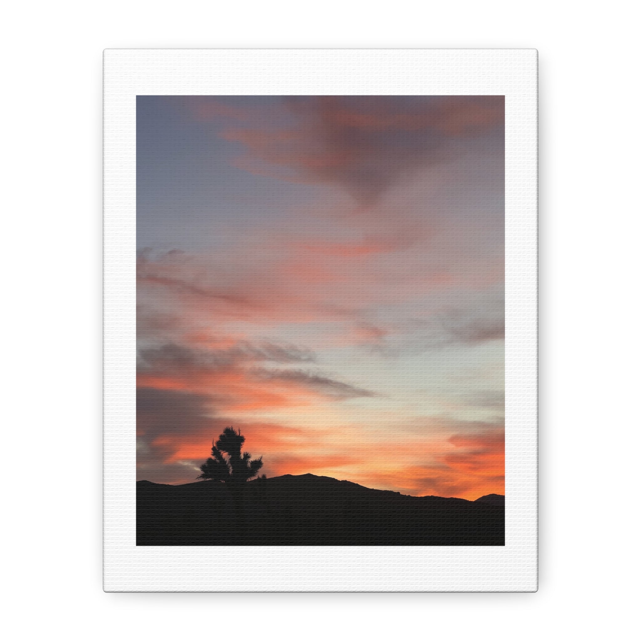 Joshua Tree Pink Sunset Print — Peach Sky Desert Silhouette Wall Art