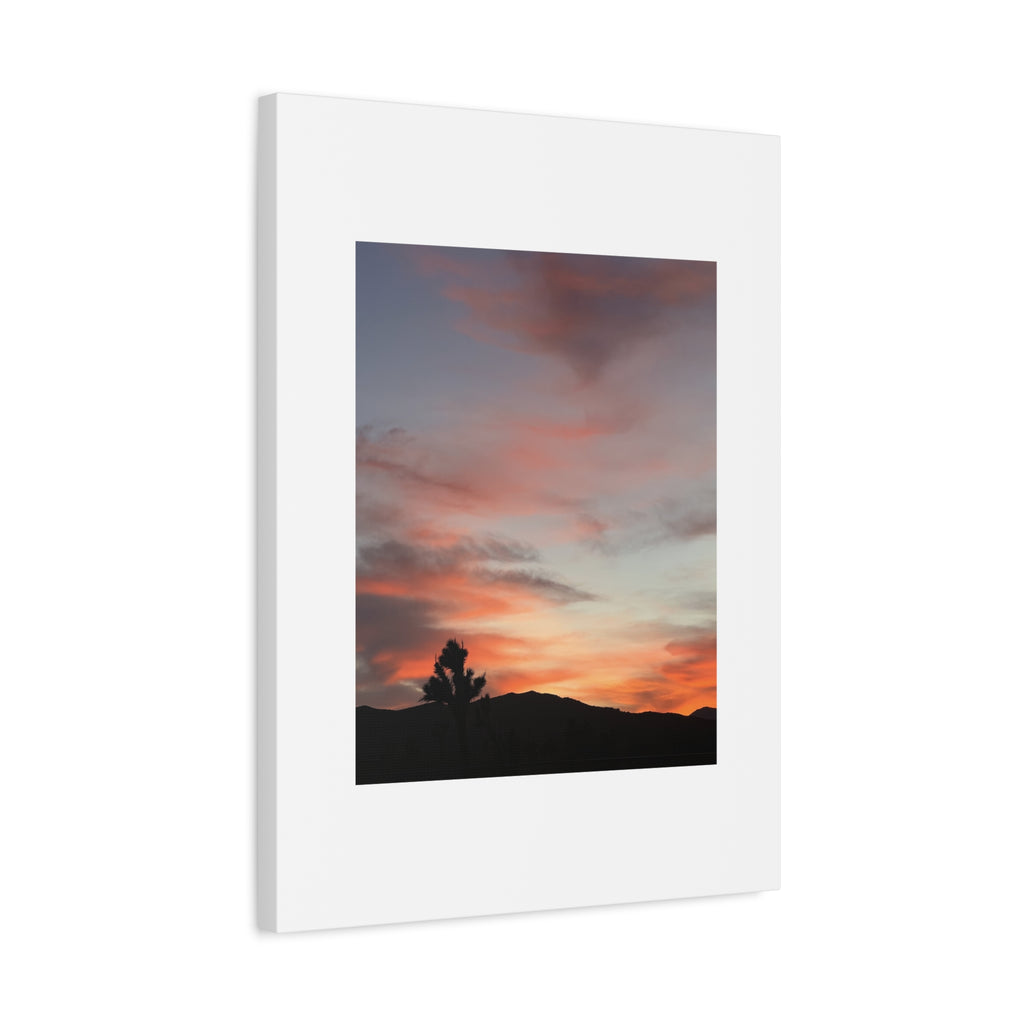 Joshua Tree Pink Sunset Print — Peach Sky Desert Silhouette Wall Art