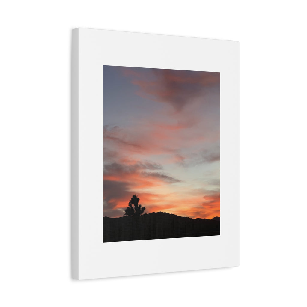 Joshua Tree Pink Sunset Print — Peach Sky Desert Silhouette Wall Art