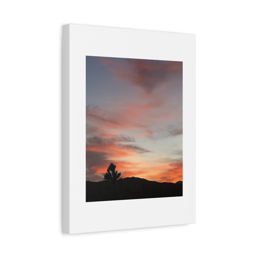 Joshua Tree Pink Sunset Print — Peach Sky Desert Silhouette Wall Art