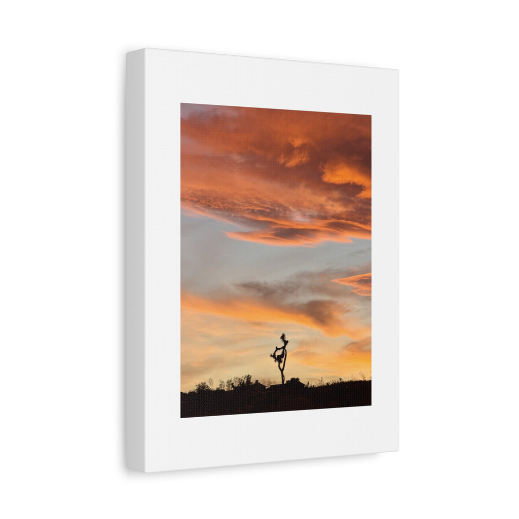 Lone Joshua Tree Sunset Print — Desert Silhouette Orange Sky Wall Art