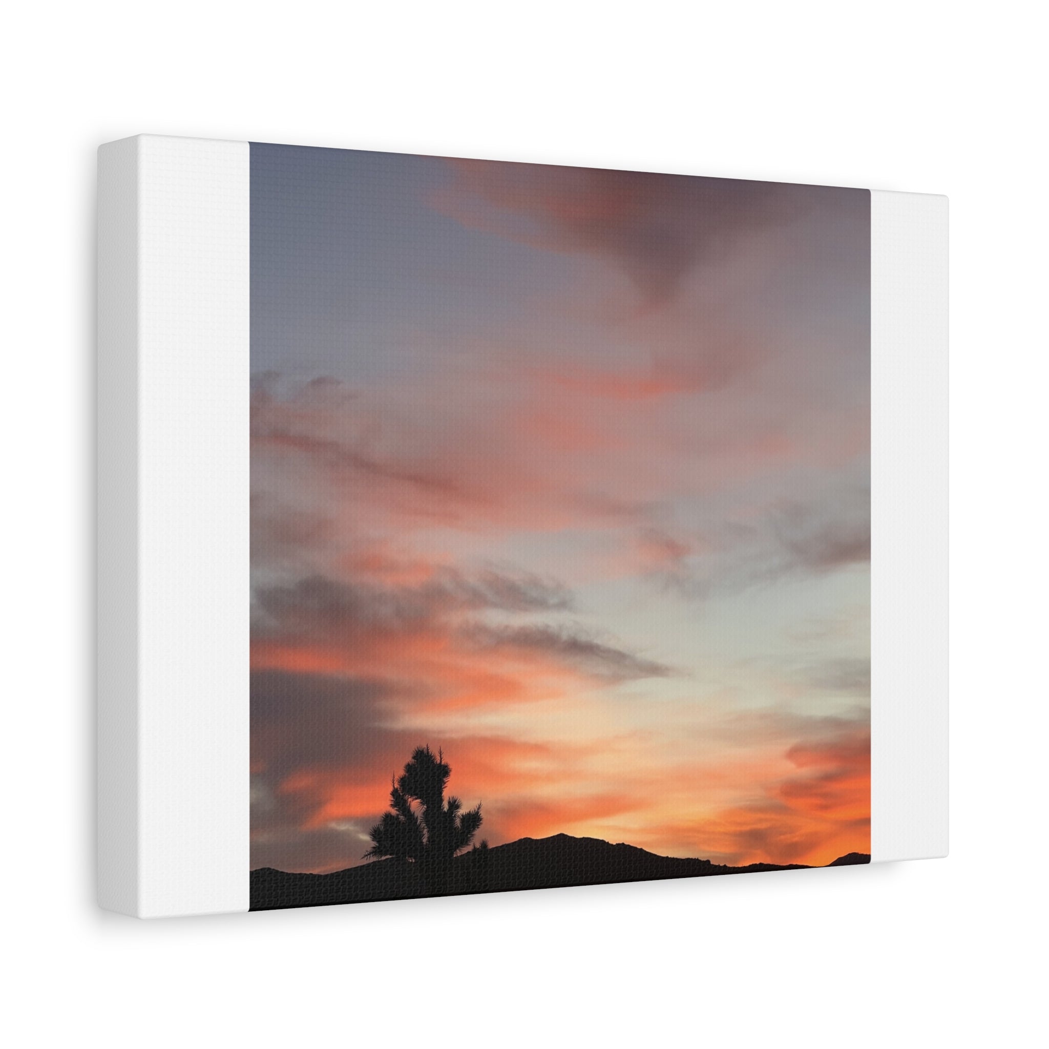 Joshua Tree Pink Sunset Print — Peach Sky Desert Silhouette Wall Art