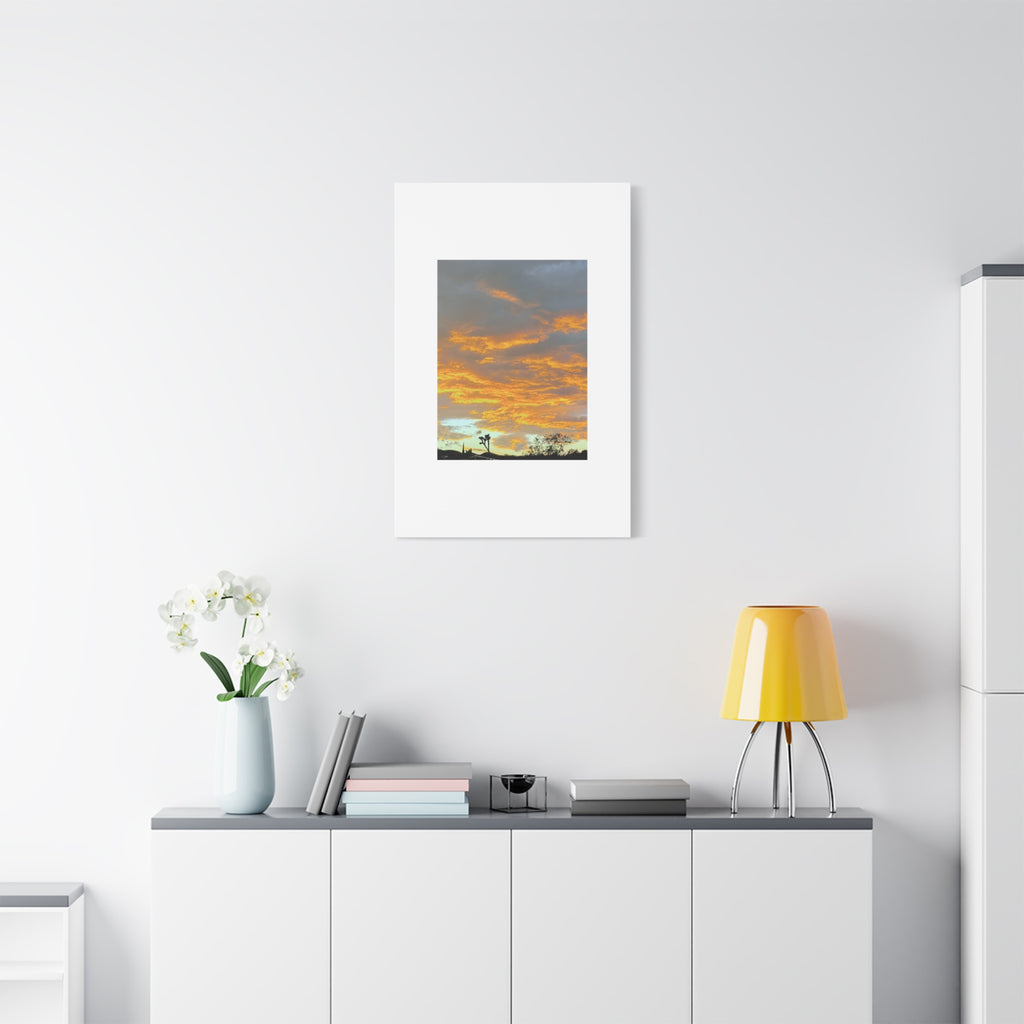 Joshua Tree Fire Sky Print — Golden Sunset Clouds Desert Silhouette Wall Art