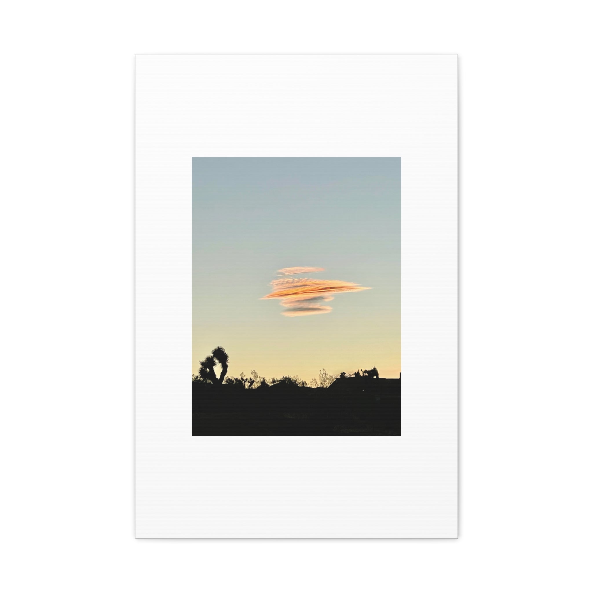 Lenticular Cloud Joshua Tree Print — Rare Desert Sky Photography Wall Art