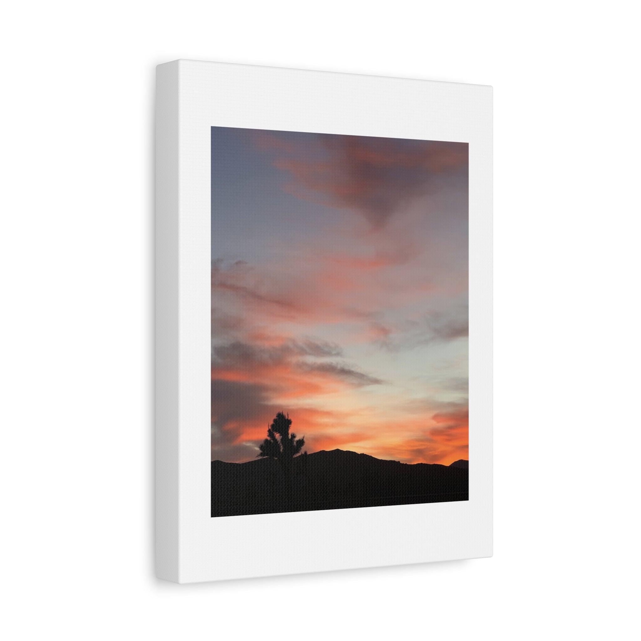 Joshua Tree Pink Sunset Print — Peach Sky Desert Silhouette Wall Art