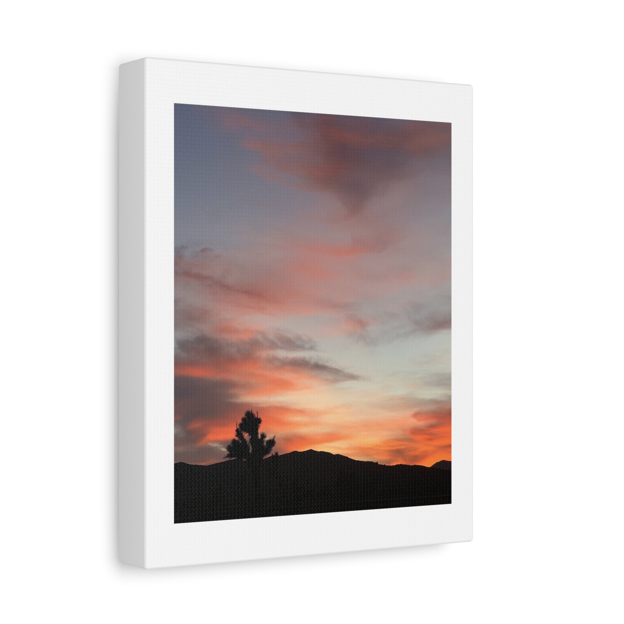 Joshua Tree Pink Sunset Print — Peach Sky Desert Silhouette Wall Art