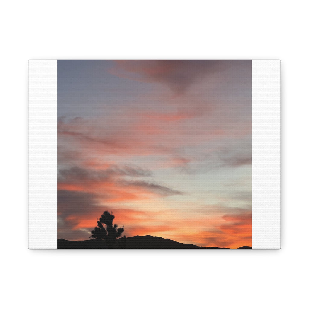 Joshua Tree Pink Sunset Print — Peach Sky Desert Silhouette Wall Art
