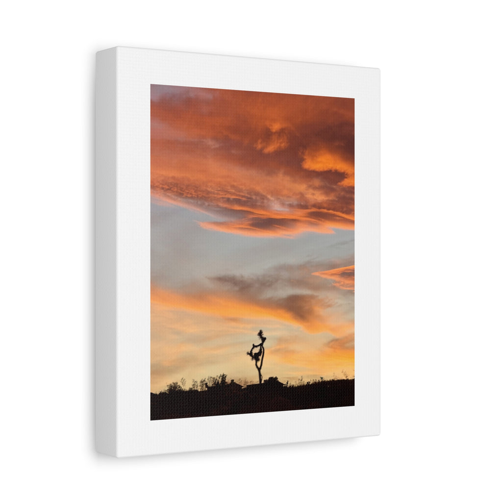 Lone Joshua Tree Sunset Print — Desert Silhouette Orange Sky Wall Art